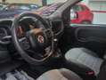 Fiat Panda Panda 1.0 firefly hybrid  Cross s&s Okneop Bleu - thumbnail 12