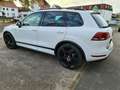 Volkswagen Touareg V6 TDI BMT R line 245P Edition X AHK 22" Wit - thumbnail 2