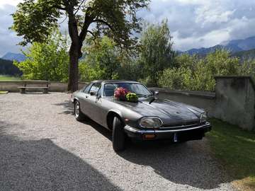 XJ-S Oldtimer