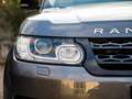 Land Rover Range Rover Sport Range Rover Sport II 2014 3.0 tdV6 SE auto Grau - thumbnail 4