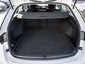 Skoda Octavia Combi 1.4 TSI iV Clever DSG AHK KAMER Blanc - thumbnail 15