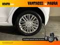 Volkswagen up! 5p 1.0 evo move 65cv Bianco - thumbnail 8