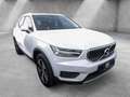 Volvo XC40 T4 Inscription Expression Recharge LED Weiß - thumbnail 2