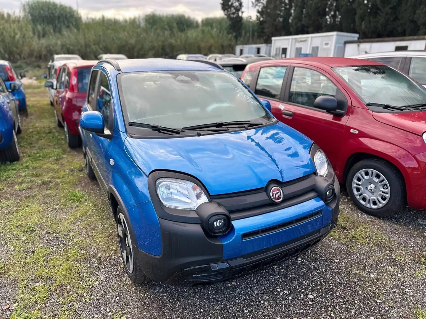 Fiat Panda 1.0 FireFly Hybrid Blau - 2