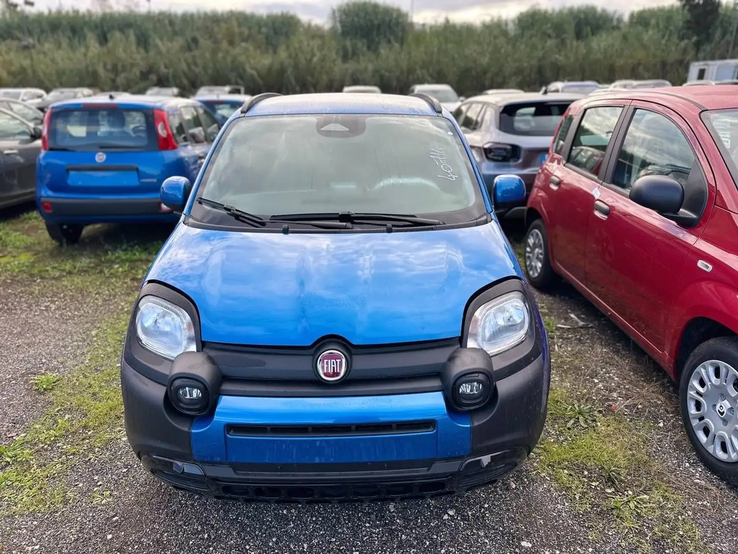 Fiat Panda 1.0 FireFly Hybrid Blau - 1