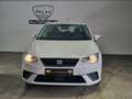 SEAT Ibiza 1,0 TGI Style Benzin und Gas Weiß - thumbnail 7