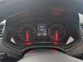 SEAT Ibiza 1,0 TGI Style Benzin und Gas Weiß - thumbnail 21