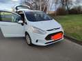 Ford B-Max B-MAX 1.0 EcoBoost Trend Weiß - thumbnail 2