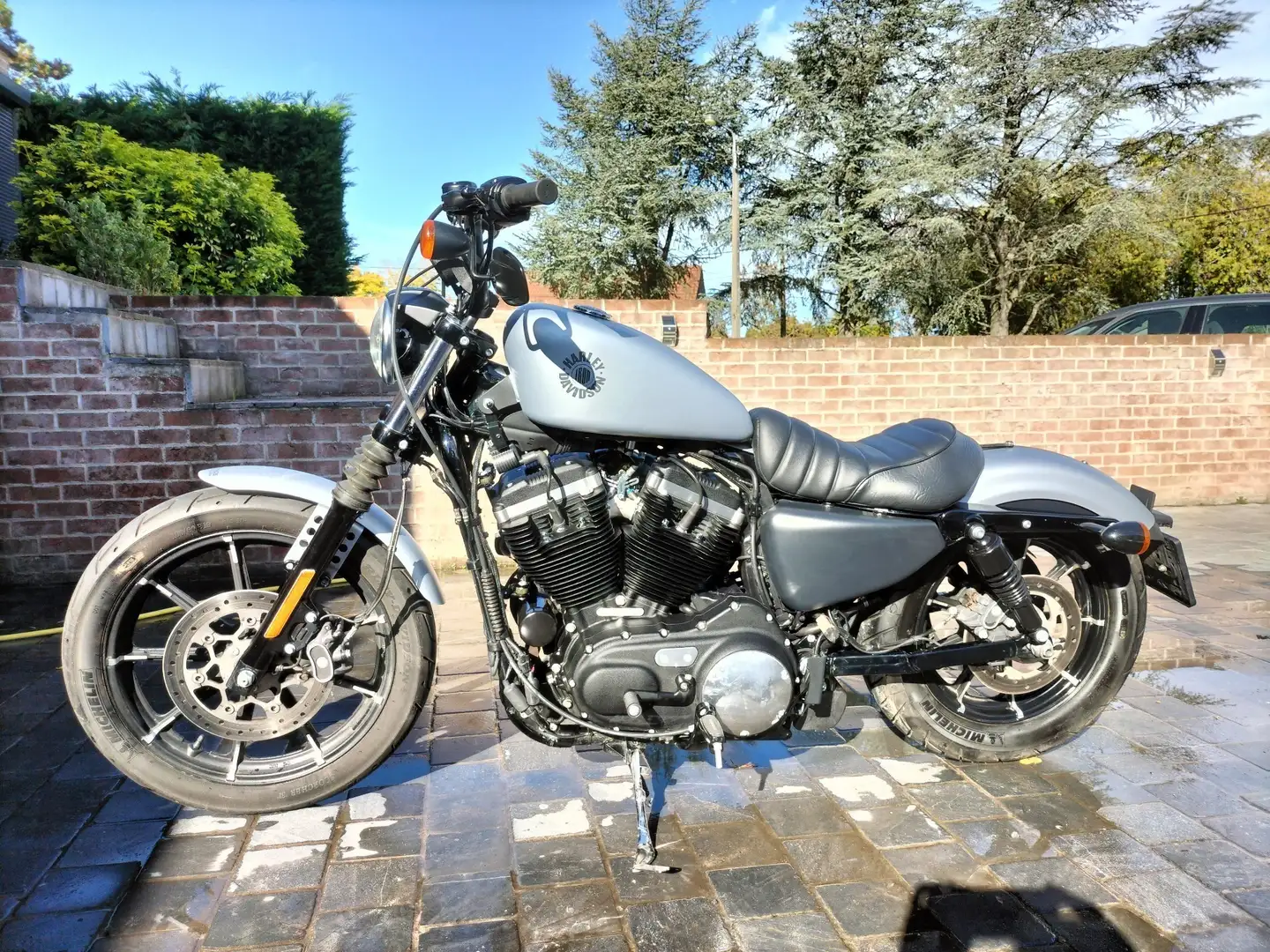 Harley-Davidson Iron 883 Gri - 1