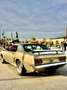 Ford Mustang Grande Gold - thumbnail 11