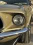 Ford Mustang Grande Gold - thumbnail 12