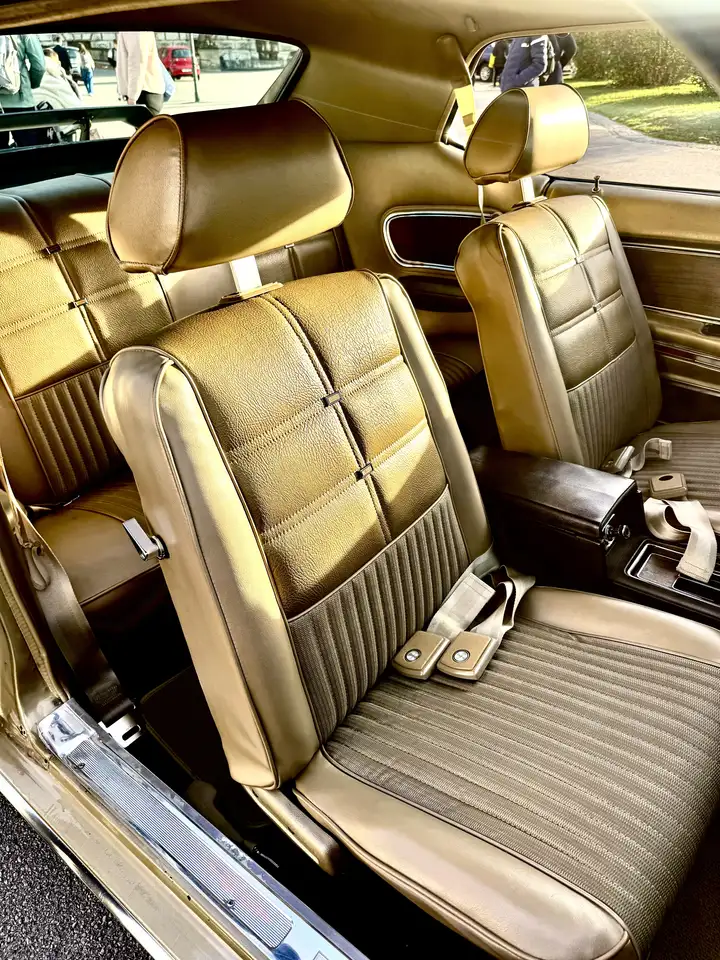 Ford Mustang Grande, foto 4