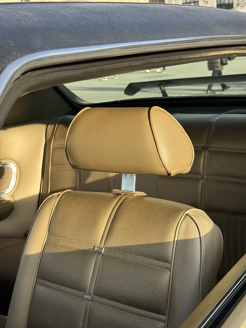 Ford Mustang Grande Gold - 2