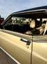 Ford Mustang Grande Gold - thumbnail 13