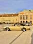 Ford Mustang Grande Gold - thumbnail 20