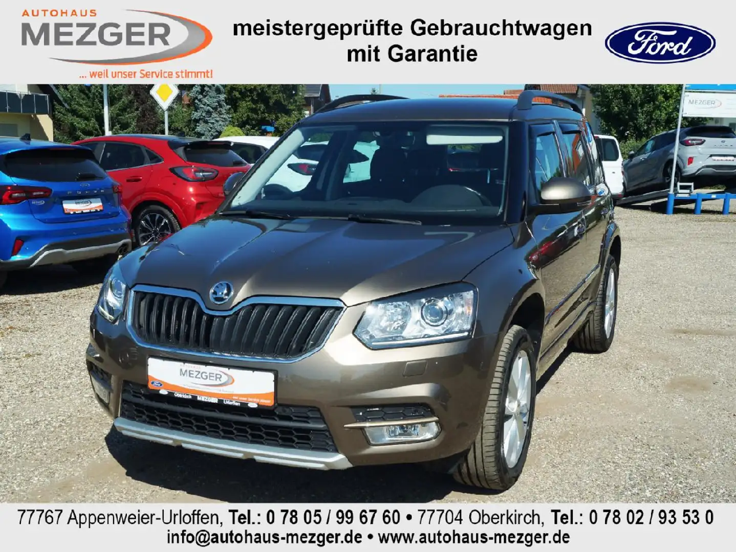 Skoda Yeti Joy Braun - 1