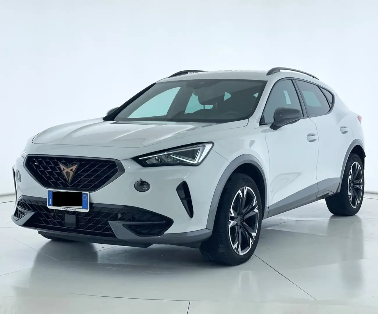 CUPRA Formentor 2.0 TDI 4Drive DSG Bianco - 1