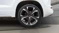 CUPRA Ateca 1.5 TSI+SHZ+LED+Sportsitze+Kamera+ Alb - thumbnail 6