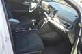 Kia Sportage 1,6+Virtual Cockpit+NAVI+SHZ+LED+ Weiß - thumbnail 9