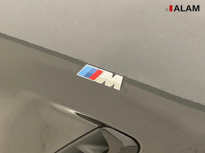 BMW X3 xDrive 30 d M Sport ACC AHK H&K Pano RFK — photo 9
