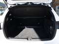 Mercedes-Benz B 250 Progressive LED NAVI KAMERA PTS SHZ Blanc - thumbnail 10