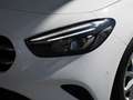 Mercedes-Benz B 250 Progressive LED NAVI KAMERA PTS SHZ Blanc - thumbnail 24