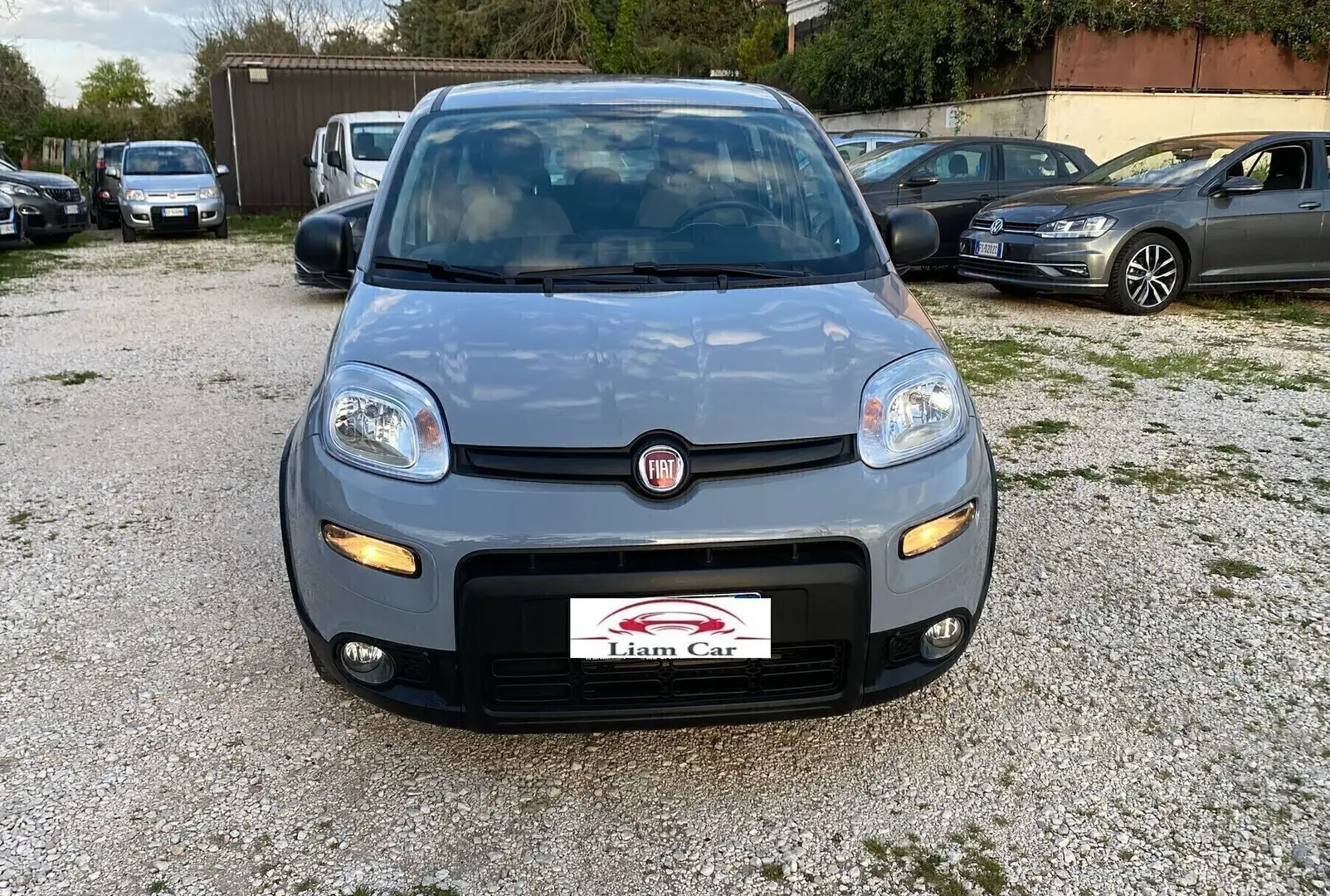 Fiat Panda 1.0 FireFly S&S Hybrid City Cross Grigio - 2