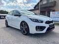 Kia Ceed / cee'd Ceed GT, Alcantara,Kamera,78.022km,TOP Blanc - thumbnail 3