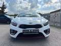 Kia Ceed / cee'd Ceed GT, Alcantara,Kamera,78.022km,TOP Blanc - thumbnail 2