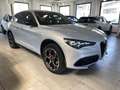 Alfa Romeo Stelvio Stelvio 2.2  Veloce Q4 210cv auto UFF. FIAT ITALIA Blu/Azzurro - thumbnail 2