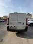 Fiat Scudo Scudo 2.0 MJT/130 PC-TN Furgone 12q. Comfort Bianco - thumbnail 8