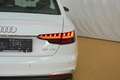 Audi A4 35 TDI S-line S-tronic Weiß - thumbnail 24