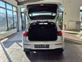 Volkswagen Golf Life 1.5 TSI NAVI*LED*SITZHEIZUNG*ACC Weiß - thumbnail 18