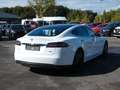 Tesla Model S Performance 85*Pano* Weiß - thumbnail 3