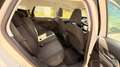 Peugeot 308 Active Pack 3x 3.590,- Weiß - thumbnail 14