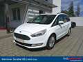 Ford Galaxy 2,0 TDCi Titanium Start/Stop Powershift Weiß - thumbnail 1