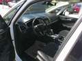 Ford Galaxy 2,0 TDCi Titanium Start/Stop Powershift Weiß - thumbnail 21