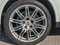 Porsche Cayenne 3.0 Platinum Edition tiptronic Blanc - thumbnail 25