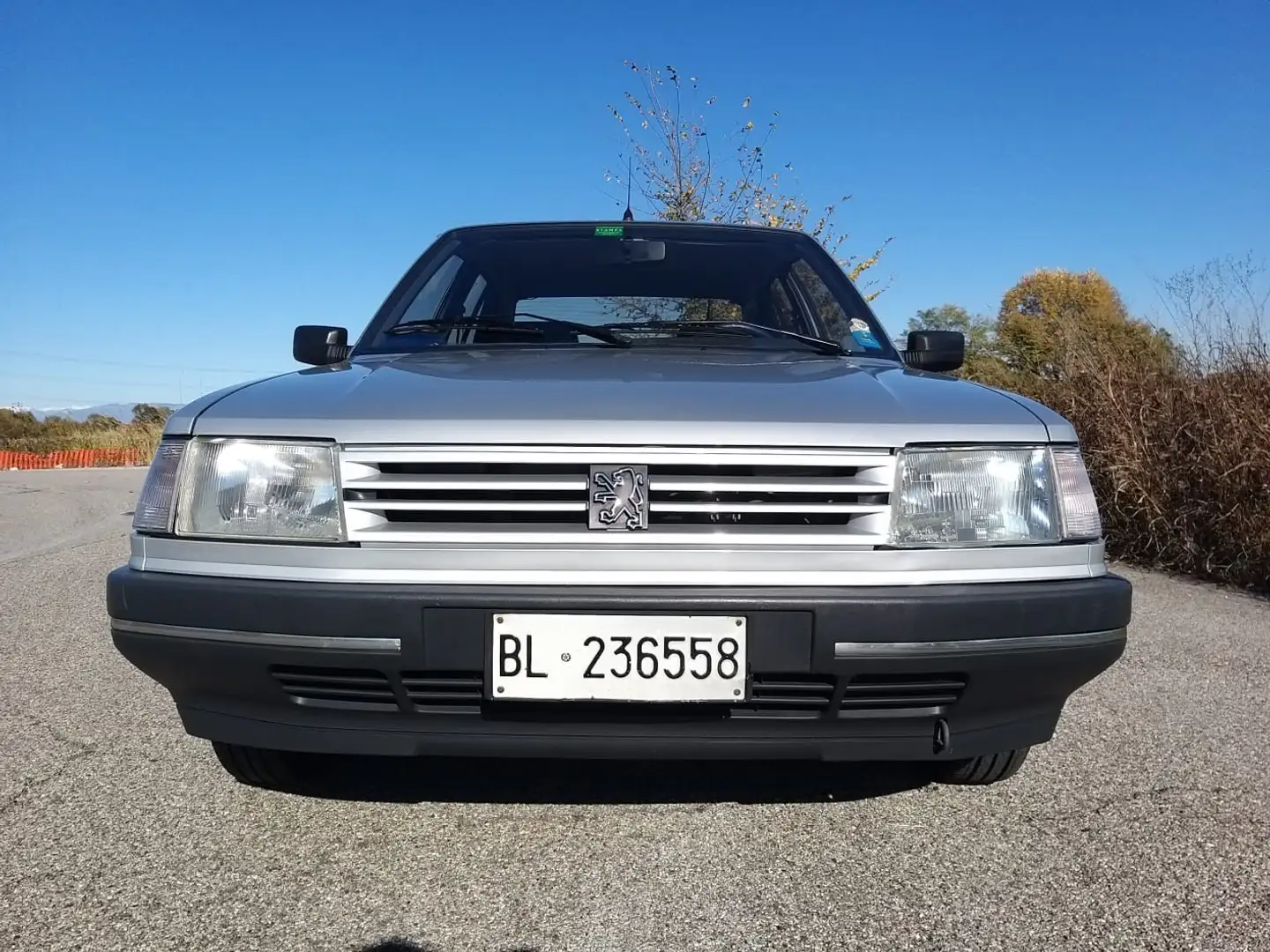 Peugeot 309 1.3 SR Targa Oro ASI - 1