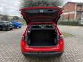 Jeep Compass 1.6 mjt Limited 130cv Rosso - thumbnail 9