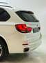 BMW X5 xDrive 40 d Weiß - thumbnail 17