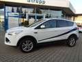 Ford Kuga Titanium 4x4 Xenon/Kamera/AHK/Pano.dach Blanc - thumbnail 2