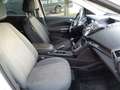 Ford Kuga Titanium 4x4 Xenon/Kamera/AHK/Pano.dach Blanc - thumbnail 8