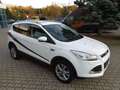Ford Kuga Titanium 4x4 Xenon/Kamera/AHK/Pano.dach Blanc - thumbnail 6
