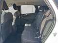 Ford Kuga 2.5 Duratec PHEV TITANIUM Wit - thumbnail 13