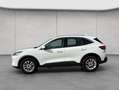 Ford Kuga 2.5 Duratec PHEV TITANIUM Wit - thumbnail 2