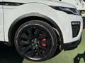 Land Rover Range Rover Evoque Range Rover Evoque  2.0 td4 HSE Dynamic 180cv auto Wit - thumbnail 15
