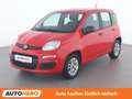 Fiat Panda 1.2 Easy Rot - thumbnail 1
