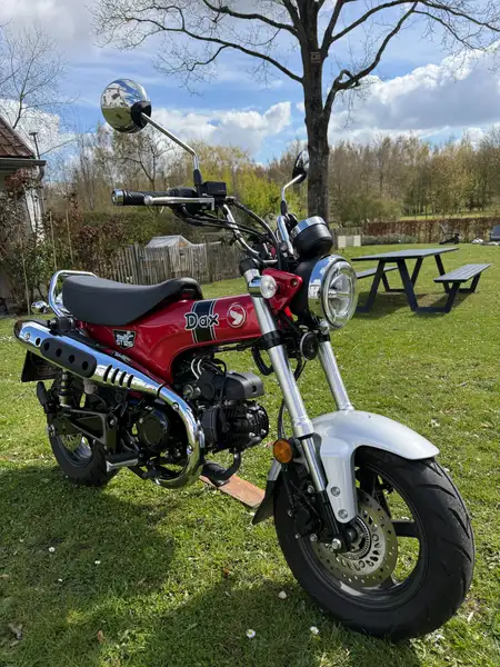Honda DAX ST 125 - foto 3