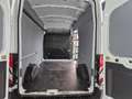 Ford Transit Kasten 350 L3 H3 Trend- 360° Kamera -4 Jahre G. Weiß - thumbnail 20